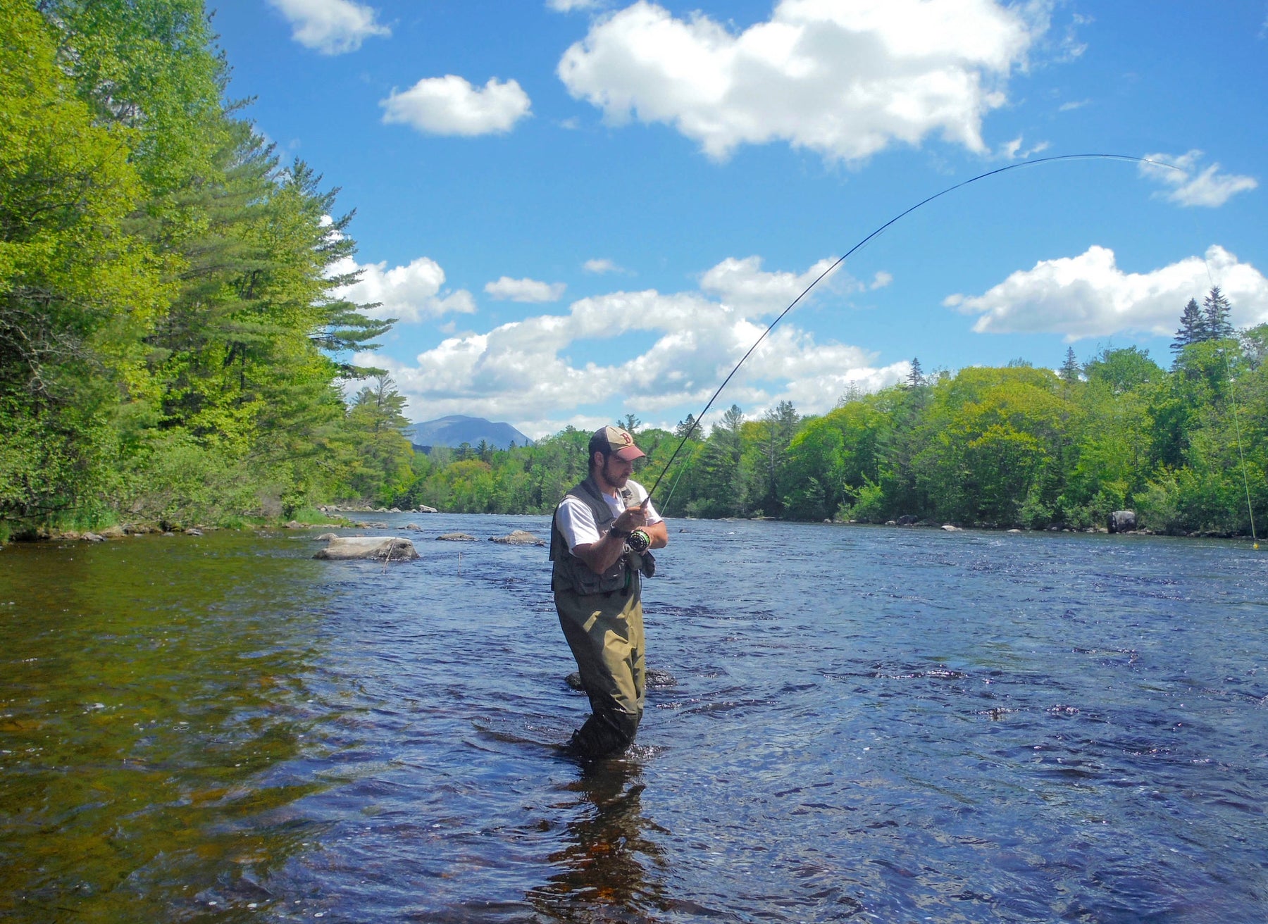Fly or Spin Casting, Why the Rift?