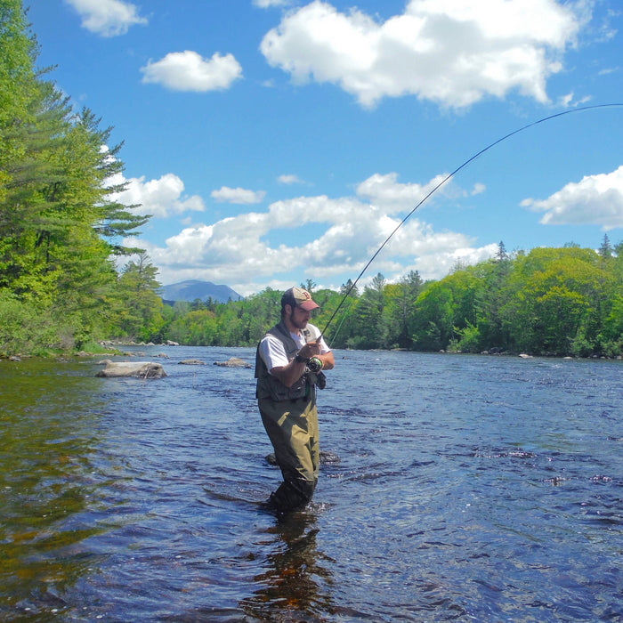 Fly or Spin Casting, Why the Rift?