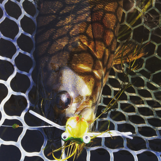Barbless Hooks Or Barbs, Does It Matter?