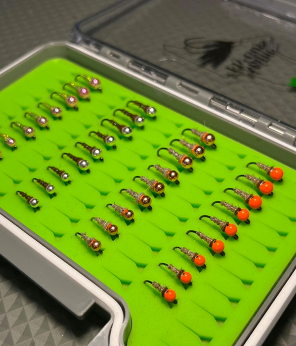 Walt's Worm Box