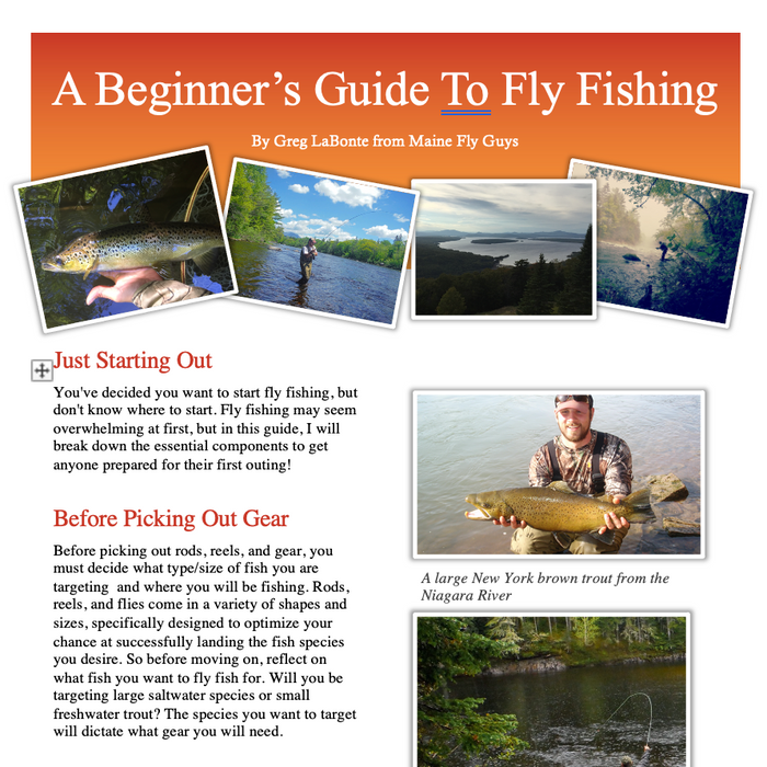 Beginner's Guide to Fly Fishing