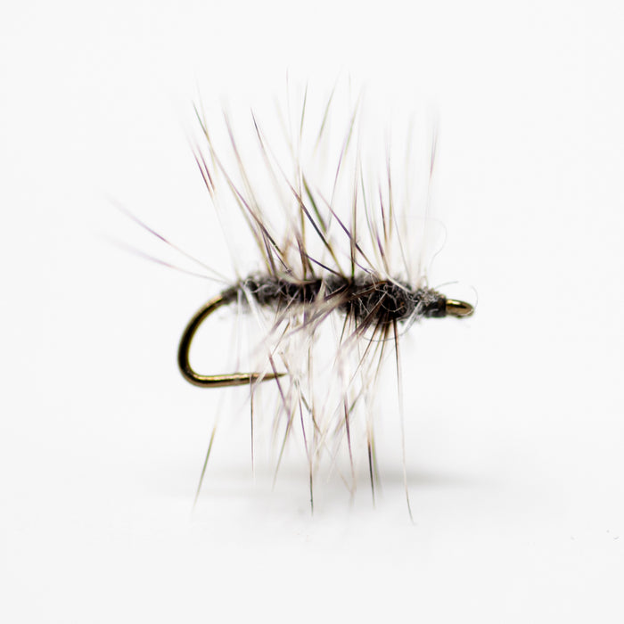 Griffith's Gnat #16