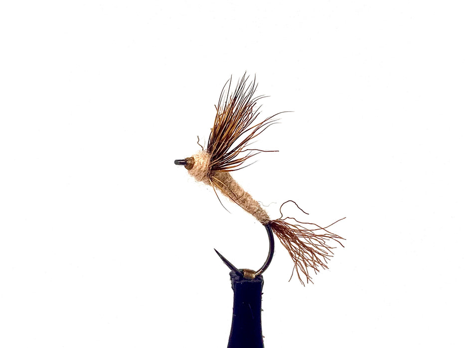 Hendrickson Sparkle Dun #12