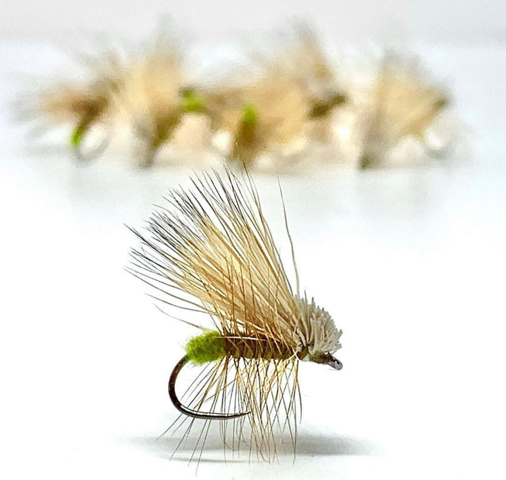 Egg Laying Caddis