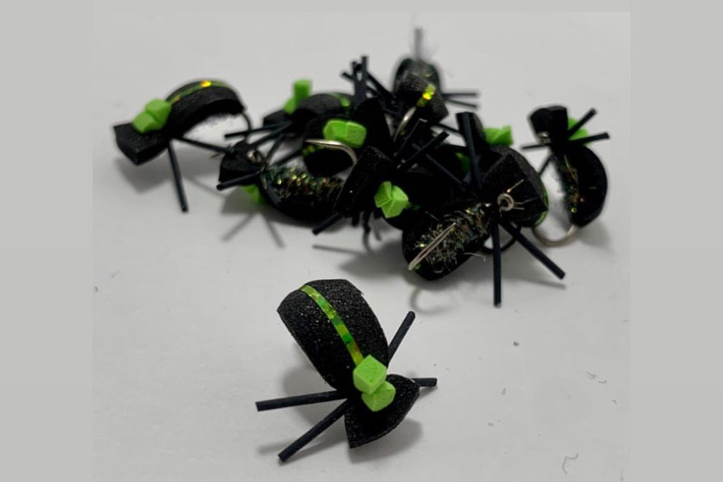 Foam Beetle
