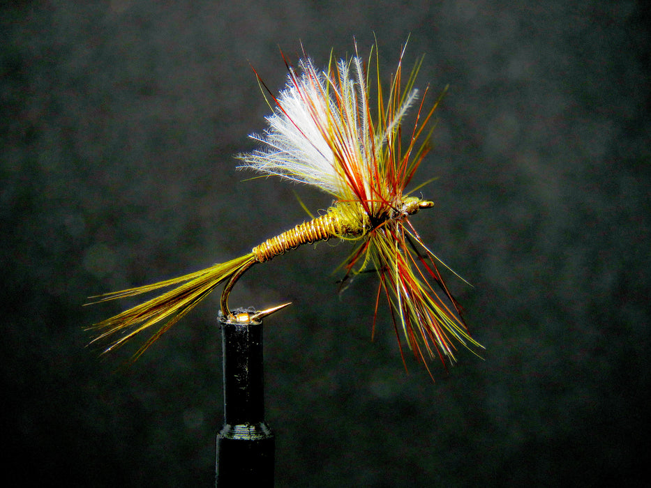 Custom Fly Orders