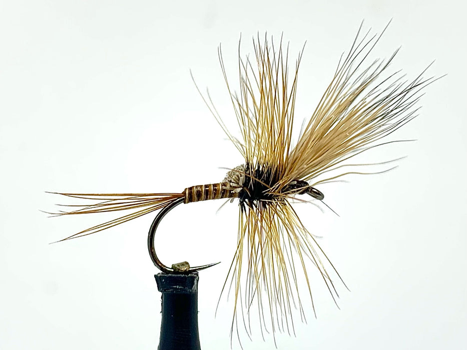 Quill Cripple Fly
