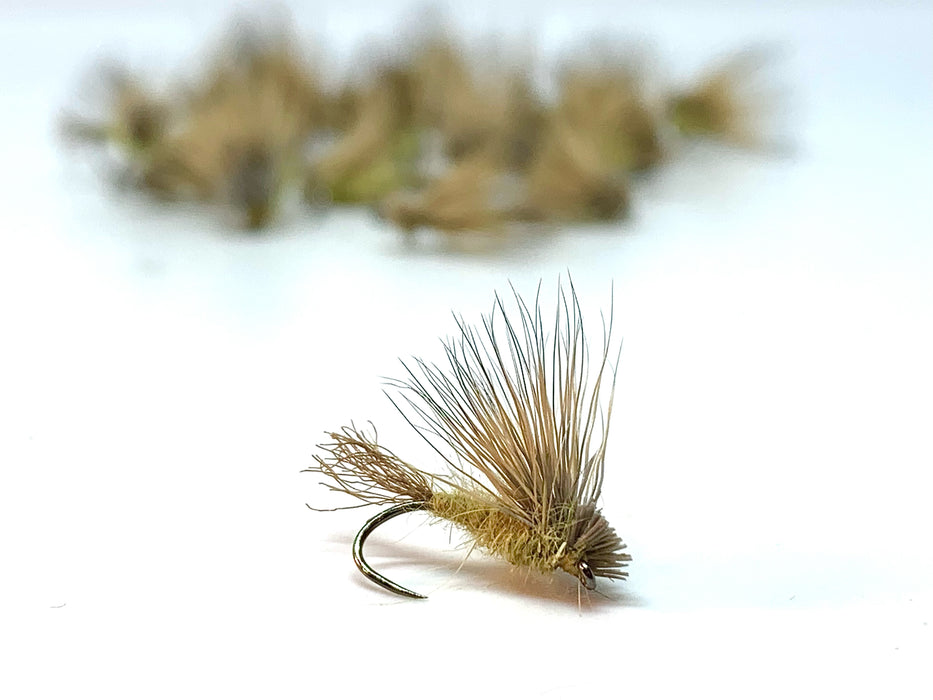 X-Caddis