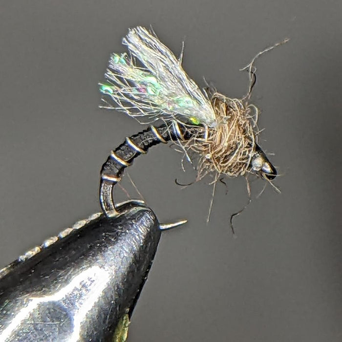 Midge Fly Box