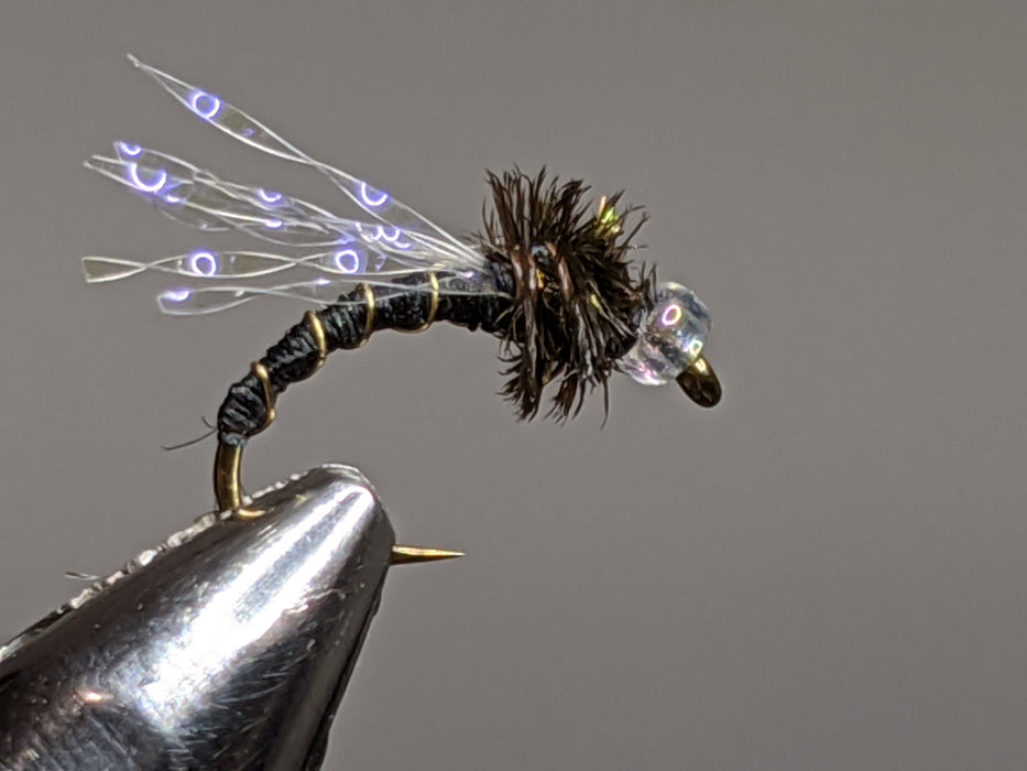 Midge Fly Box