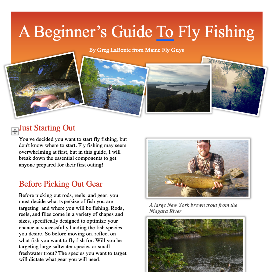 Beginner's Guide To Fly Fishing — Maineflyguys.com