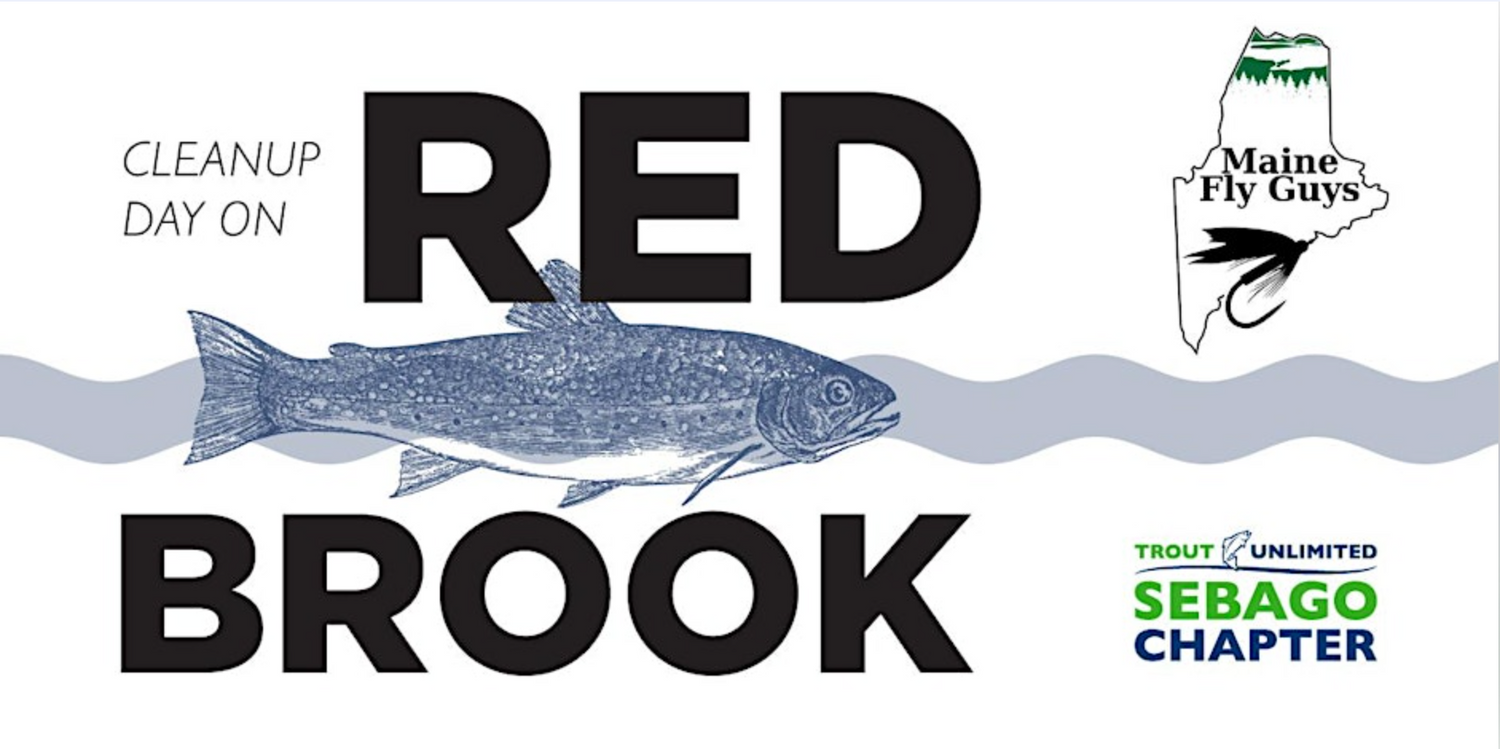 Red Brook Clean Up