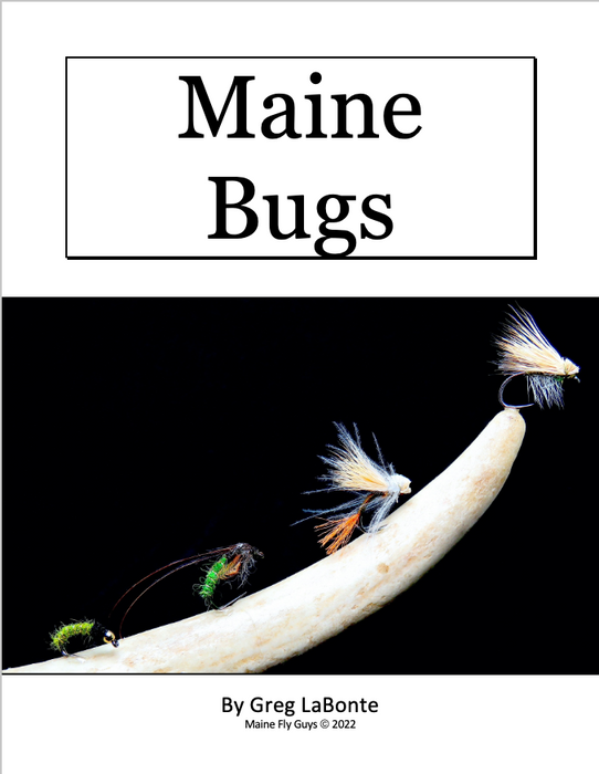 Maine Bugs
